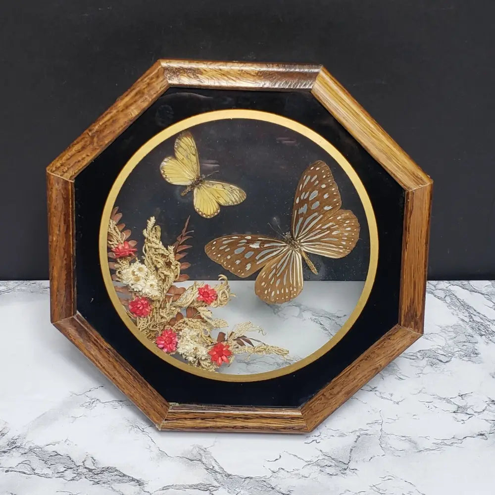 Real Butterflies & Wildflowers Shadowbox Wood Glass Octagon (Vintage) Decor