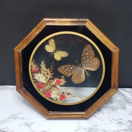 Real Butterflies & Wildflowers Shadowbox Wood Glass Octagon (Vintage) Decor