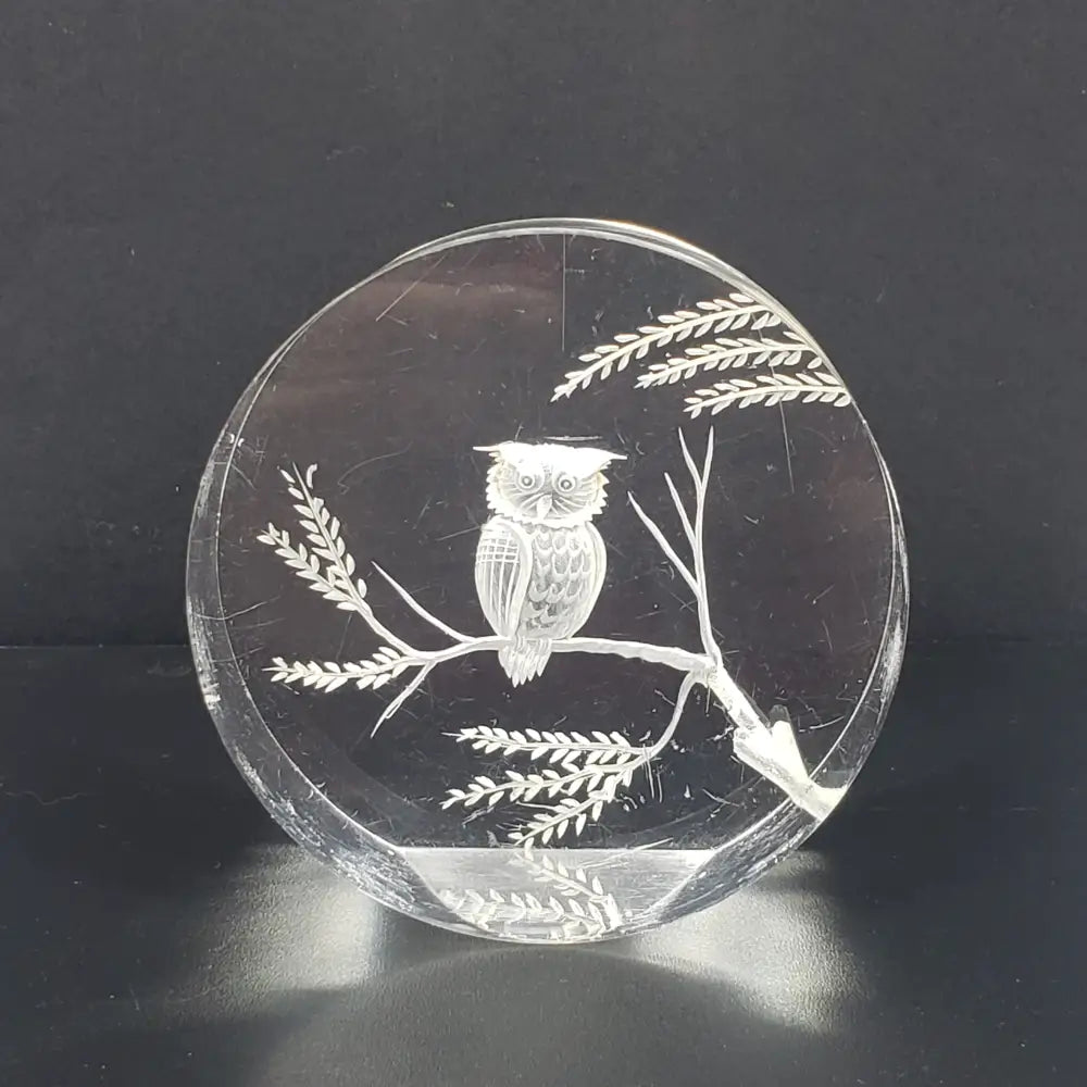 Lucite Owl Paperweight Vintage Decor