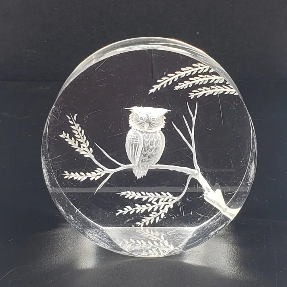 Lucite Owl Paperweight Vintage Decor