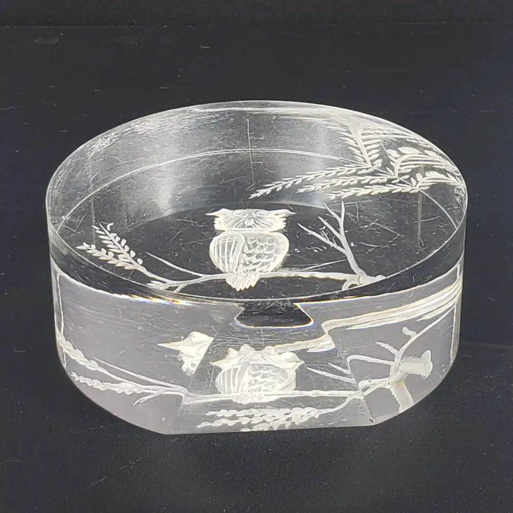 Lucite Owl Paperweight Vintage Decor