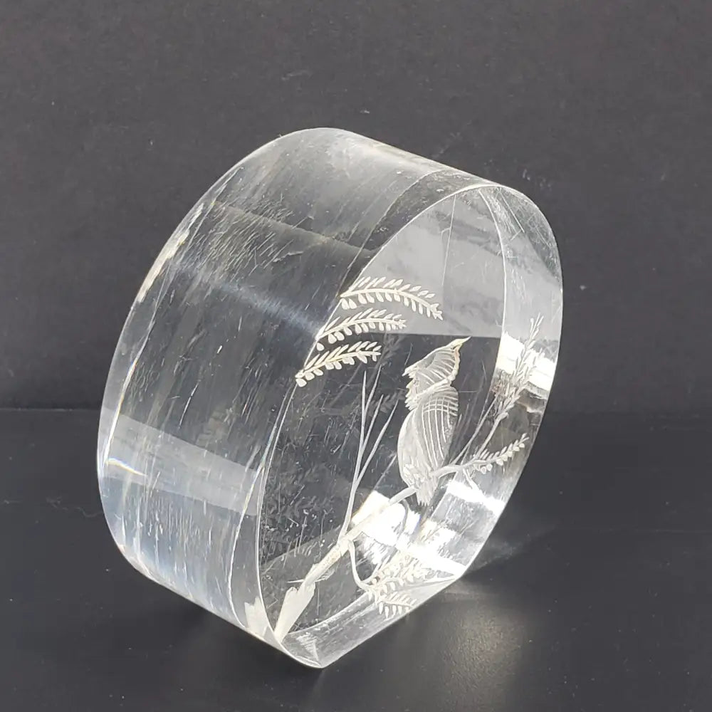 Lucite Owl Paperweight Vintage Decor