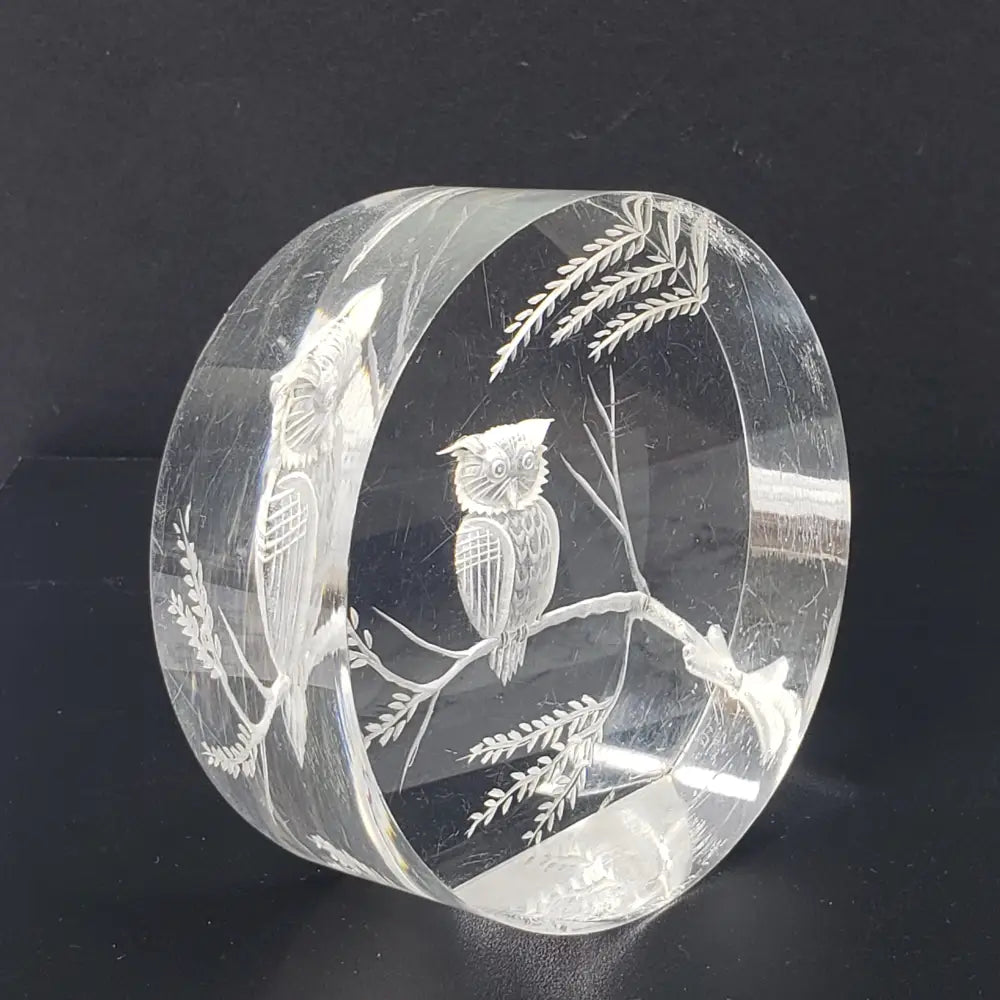 Lucite Owl Paperweight Vintage Decor