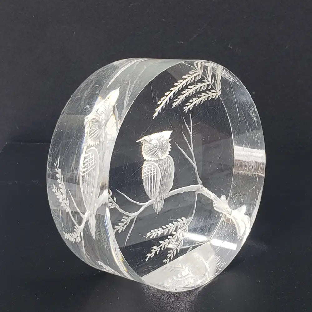 Lucite Owl Paperweight Vintage Decor