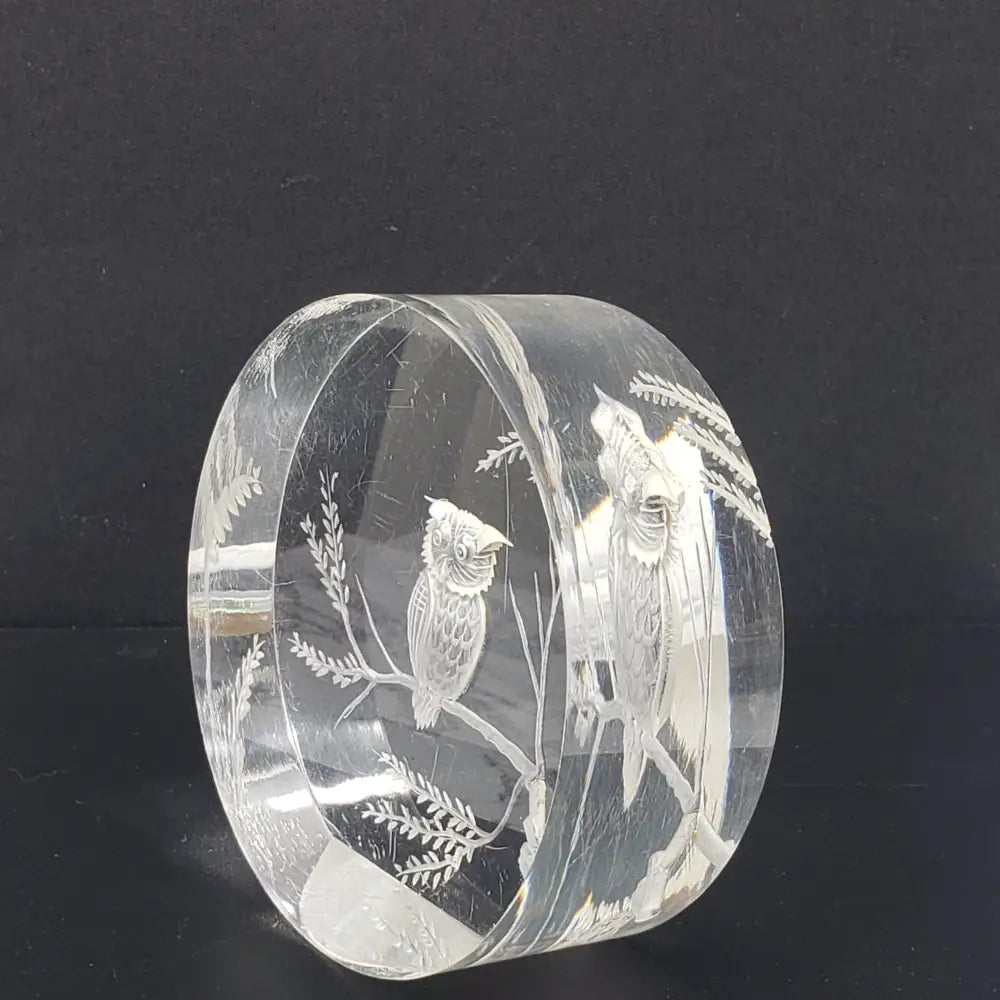 Lucite Owl Paperweight Vintage Decor