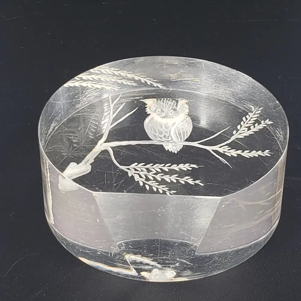 Lucite Owl Paperweight Vintage Decor
