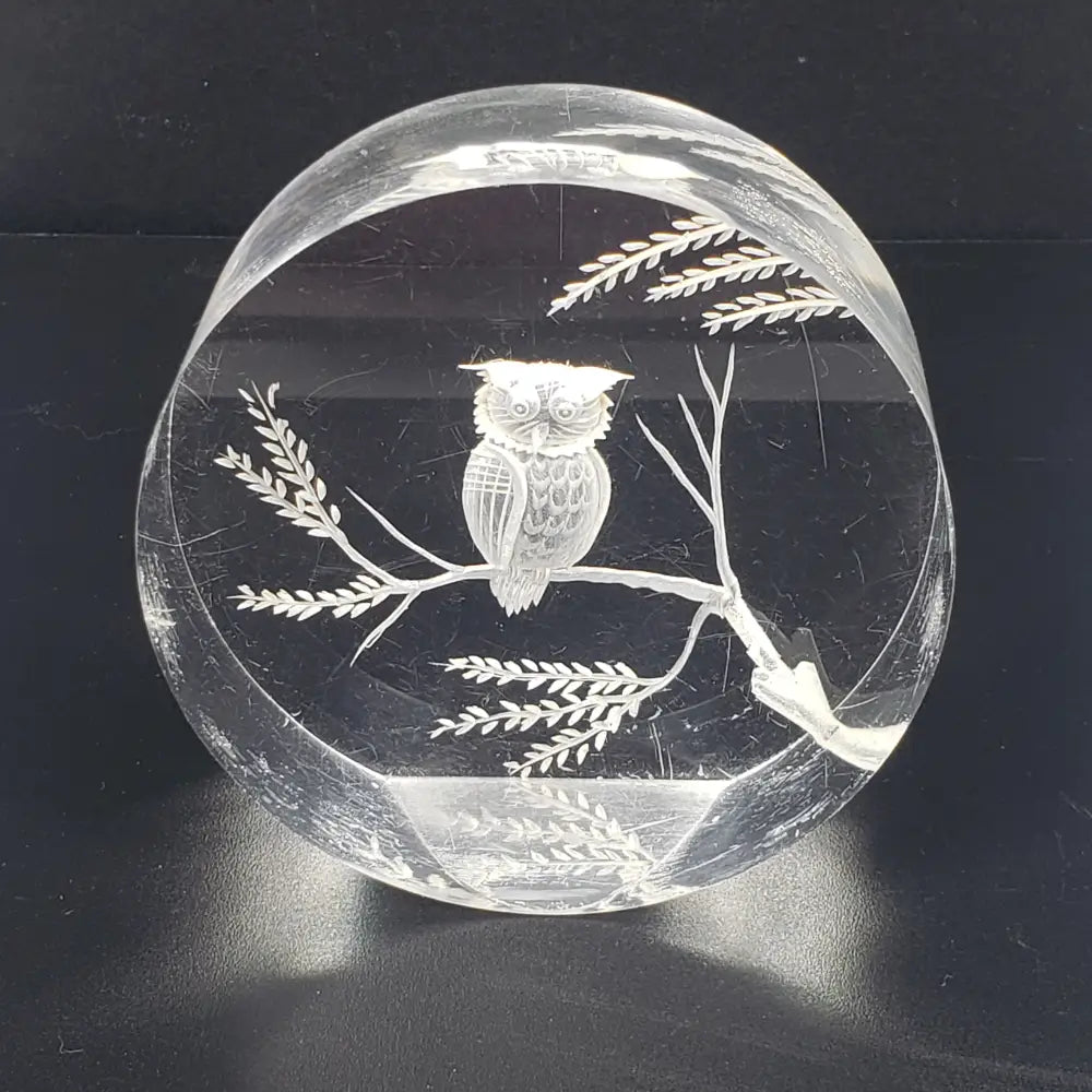 Lucite Owl Paperweight Vintage Decor