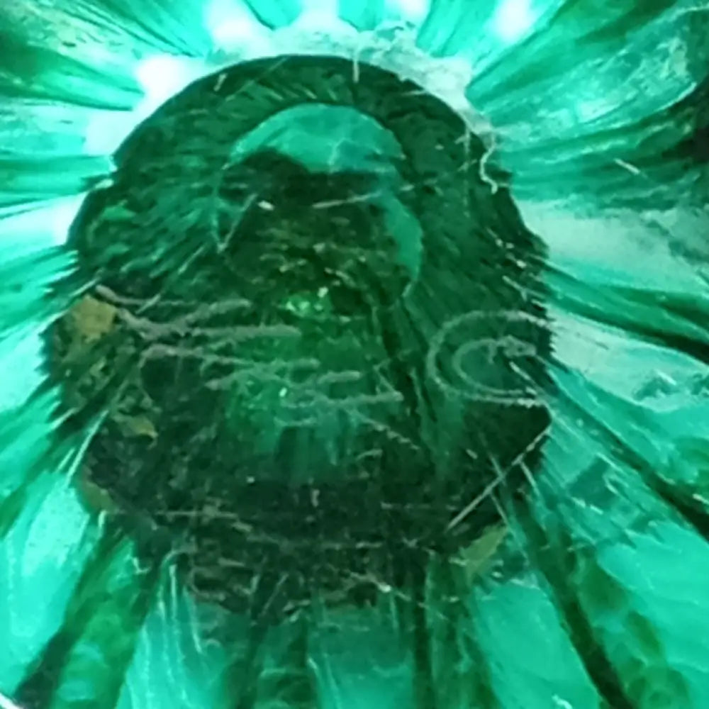 Paperweight Artist Signed Art Glass ( Vintage ) Decor