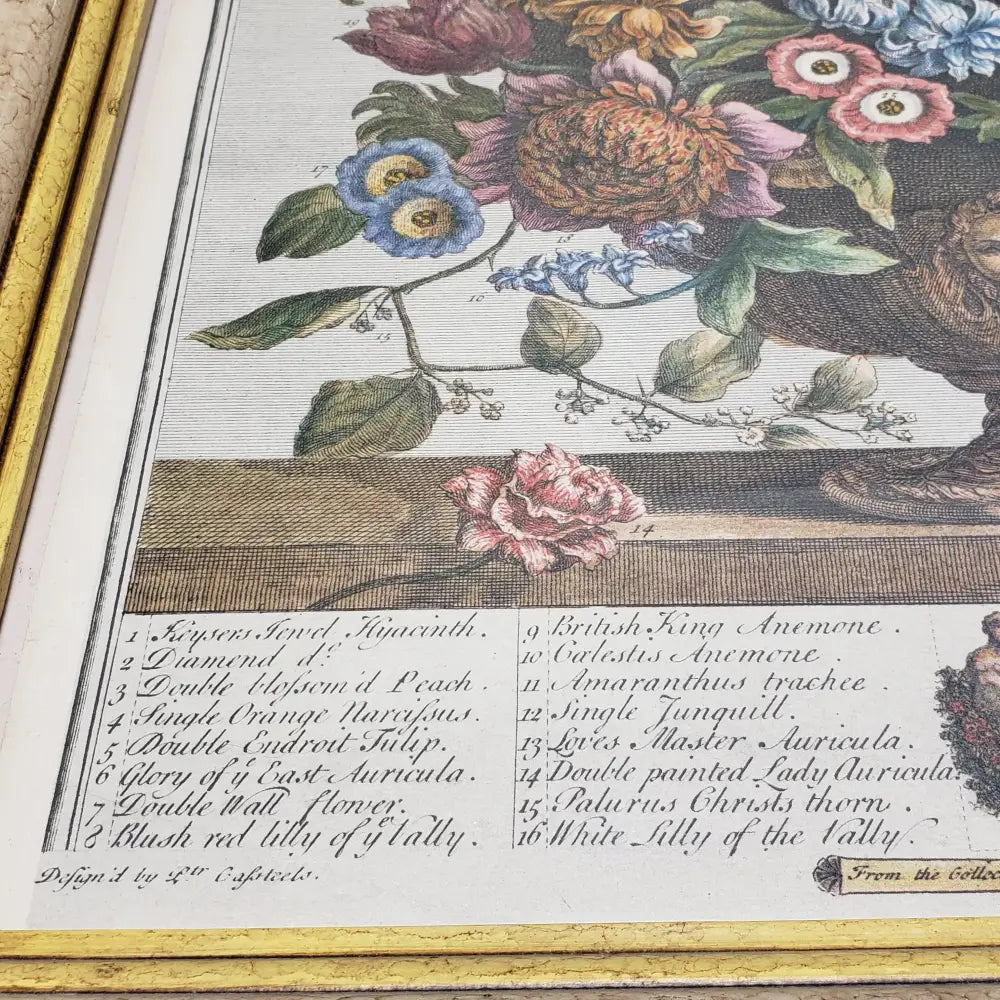 Robert Furber Flowers Of April Framed Print (Vintage) Decor